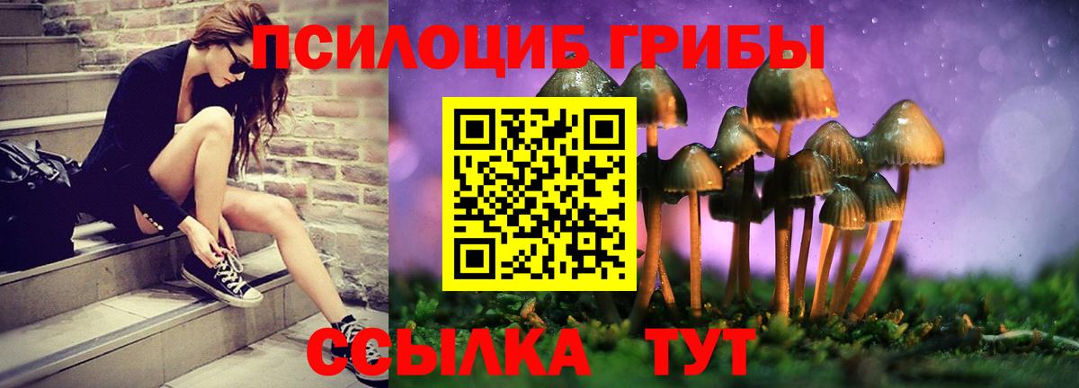 Новоалтайск  Псилоцибиновые грибы ЛСД  Вход с VPN  Псилоцибиновые грибы Psilocybe 