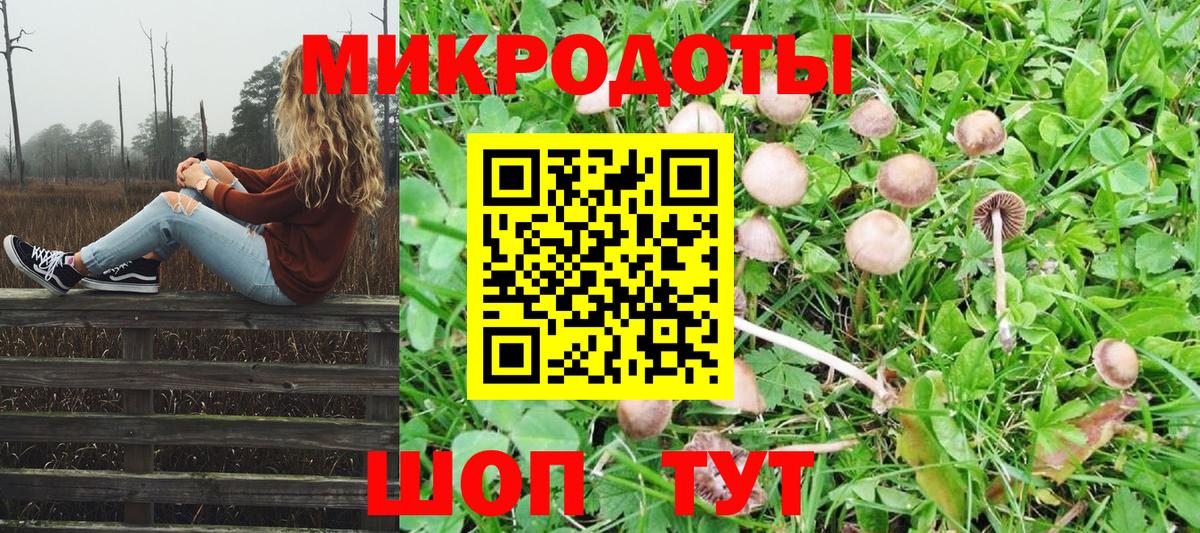 Галлюциногенные грибы ЛСД Новоалтайск